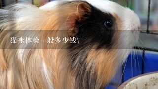 猫咪体检1般多少钱？