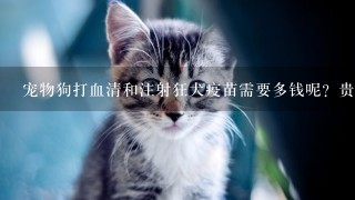 宠物狗打血清和注射狂犬疫苗需要多钱呢？贵吗？