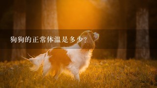 狗狗的正常体温是多少？