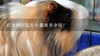 在宠物医院生小猫要多少钱？