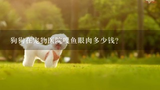 狗狗在宠物医院嘎鱼眼肉多少钱?