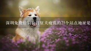 深圳免费给狗狗打狂犬疫苗的25个站点地址是哪里