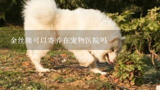 金丝熊可以寄养在宠物医院吗