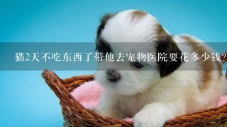 猫2天不吃东西了带他去宠物医院要花多少钱？