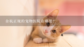 余杭正规的宠物医院在哪里？