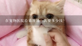 在宠物医院给猫洗澡1次要多少钱？