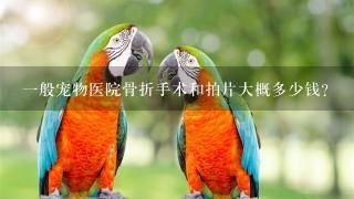 1般宠物医院骨折手术和拍片大概多少钱？