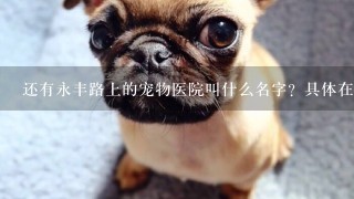 还有永丰路上的宠物医院叫什么名字？具体在哪？