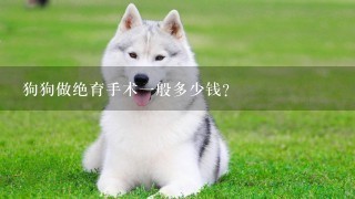 狗狗做绝育手术1般多少钱？