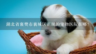 湖北省襄樊市襄城区正规的宠物医院在哪？