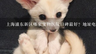 上海浦东新区哪家宠物医院口碑最好？地址电话营业时间