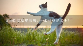 宠物医院给猫看病，1般价格是多少？