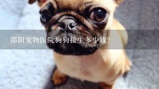 邵阳宠物医院狗狗接生多少钱？