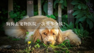 狗狗去宠物医院1次要多少钱？