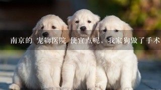 南京的 宠物医院 便宜点呢，我家狗做了手术，要挂消