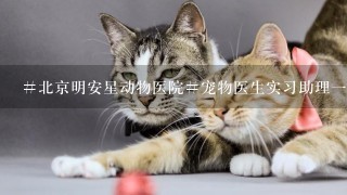 #北京明安星动物医院#宠物医生实习助理1职接受无操作经验者吗？