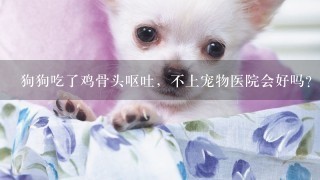 狗狗吃了鸡骨头呕吐，不上宠物医院会好吗？