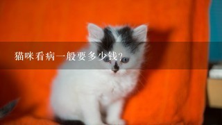 猫咪看病1般要多少钱？