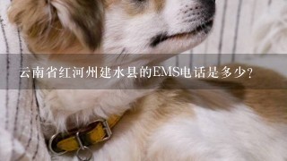 云南省红河州建水县的EMS电话是多少?