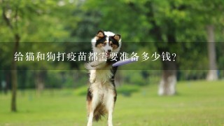 给猫和狗打疫苗都需要准备多少钱？