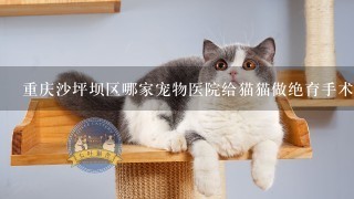 重庆沙坪坝区哪家宠物医院给猫猫做绝育手术好。价格多少？