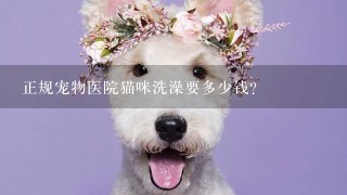 正规宠物医院猫咪洗澡要多少钱?