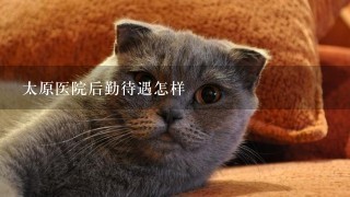 太原医院后勤待遇怎样