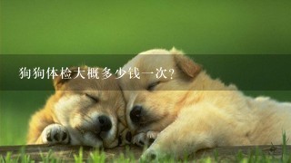 狗狗体检大概多少钱1次？