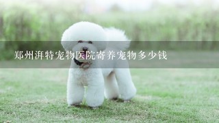 郑州湃特宠物医院寄养宠物多少钱