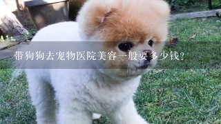 带狗狗去宠物医院美容1般要多少钱？