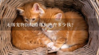 无锡宠物医院给母狗绝育多少钱？