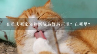 在重庆哪家宠物医院最好最正规？在哪里？