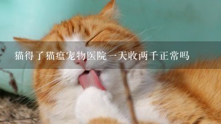 猫得了猫瘟宠物医院1天收两千正常吗