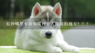 长沙哪里有给狗接种狂犬疫苗的地方？？？