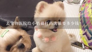 去宠物医院给小奶猫打药洗澡要多少钱？