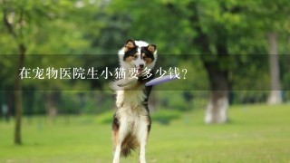 在宠物医院生小猫要多少钱？