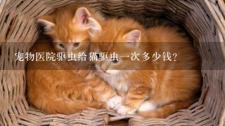 宠物医院驱虫给猫驱虫1次多少钱？