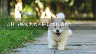 吉林市哪家宠物医院比较权威啊？