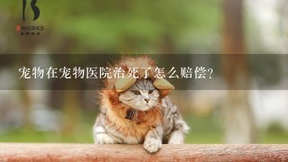 宠物在宠物医院治死了怎么赔偿？