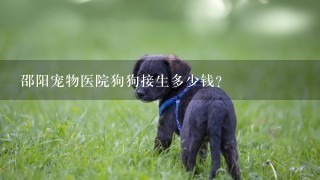 邵阳宠物医院狗狗接生多少钱？