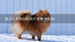 细小去宠物医院治疗需要多少钱？