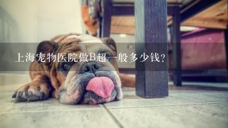 上海宠物医院做B超1般多少钱？
