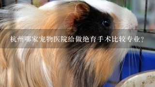 杭州哪家宠物医院给做绝育手术比较专业？