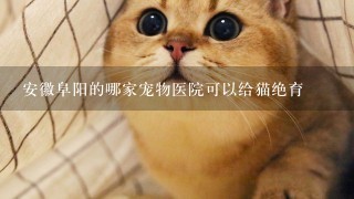 安徽阜阳的哪家宠物医院可以给猫绝育