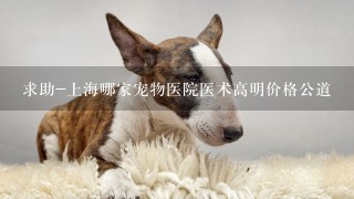 求助-上海哪家宠物医院医术高明价格公道