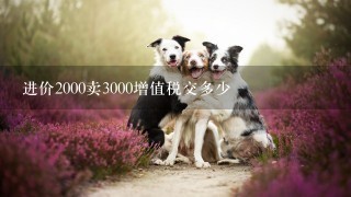 进价2000卖3000增值税交多少