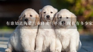 有谁知道内蒙古赤峰或（平庄）现在有多少家宠物医院，哪家可以去学习，我有宠物医师证想动手能力加强1下
