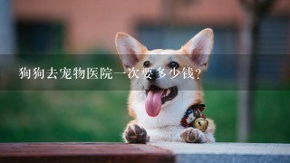 狗狗去宠物医院1次要多少钱？