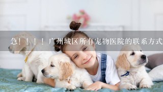 急！！！！广州城区所有宠物医院的联系方式和地点