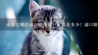 南京去哪给猫打预防针？电话是多少？浦口附近或者下